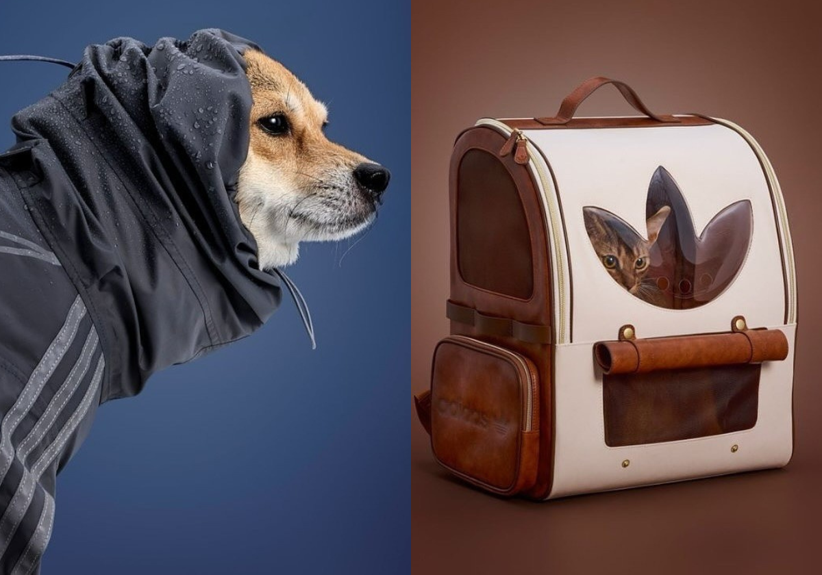 adidas-originals-pet-clothes-16