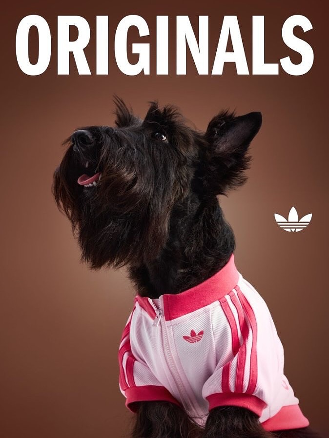 adidas-originals-pet-clothes-5