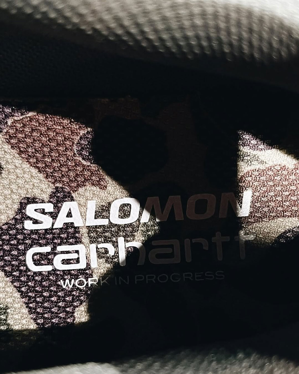 carhartt-wip-salomon-x-alp-1