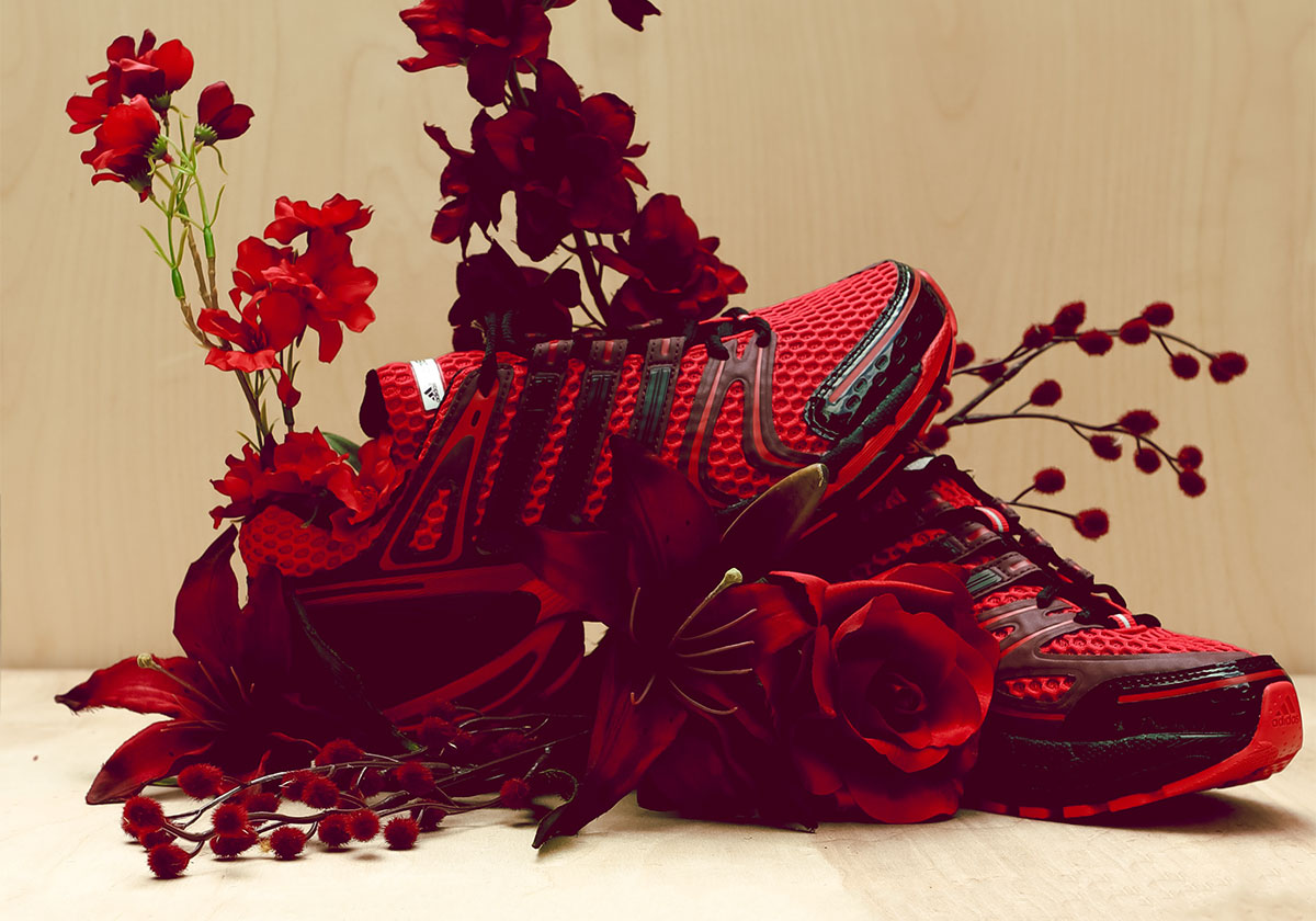 clicks-adidas-adistar-control-5-eric-shake-james-1