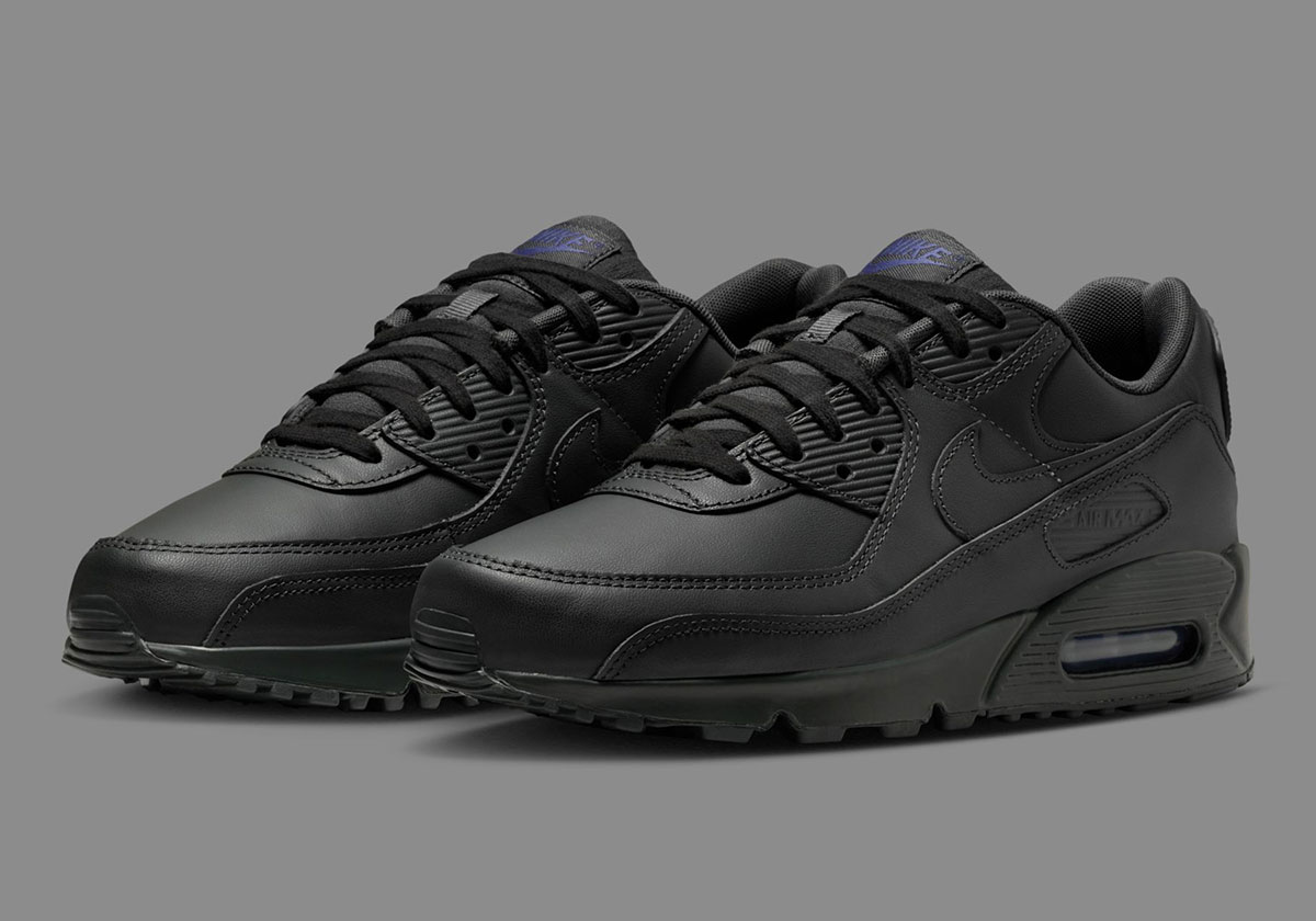 nike-air-max-90-dark-smoke-grey-sanded-purple-if5446-001-5