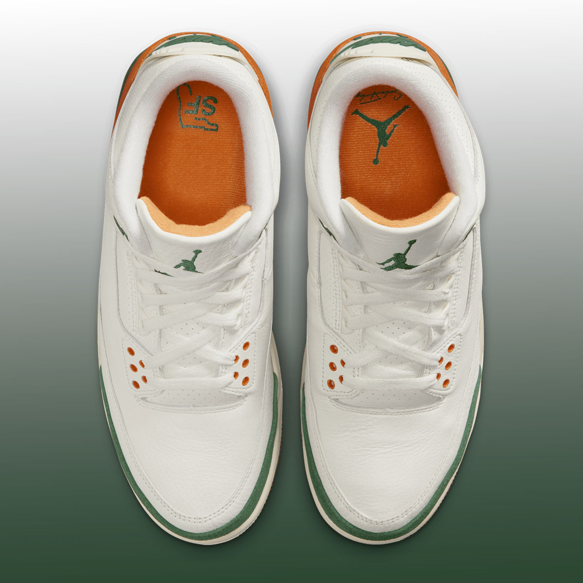 solefly-air-jordan-3-fruits-of-our-labor-3