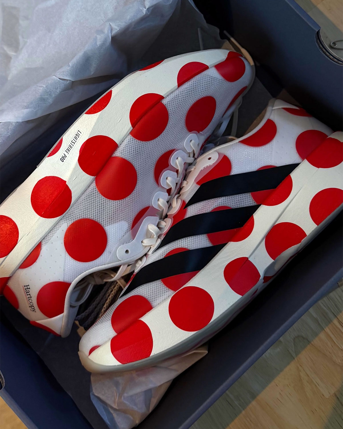 hartcopy-adidas-evo-sl-3