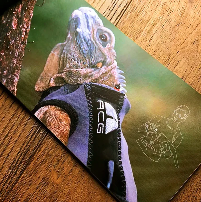 CPFM x Nike ACG resgata iguana em coleção Spring 2026