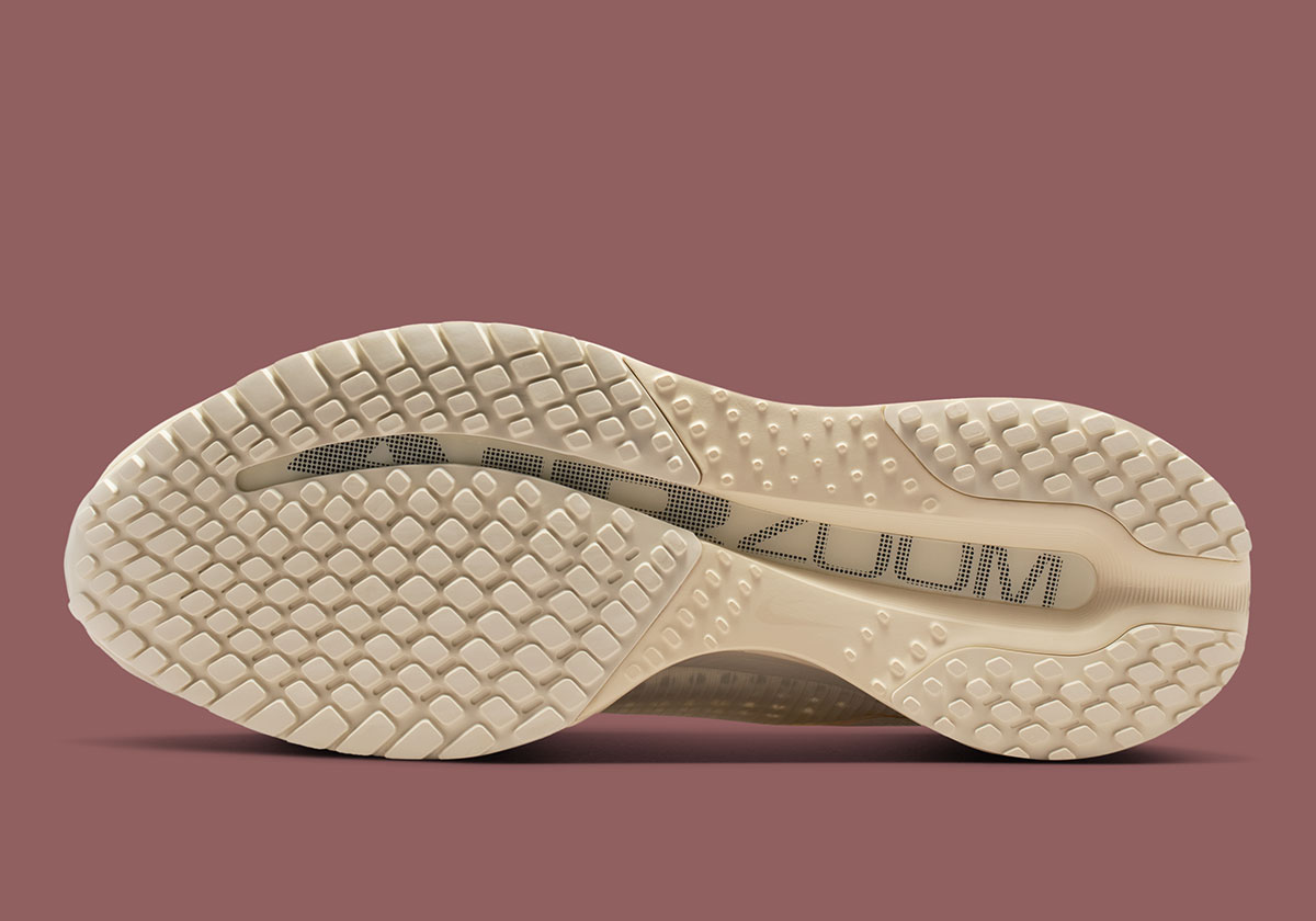 nike-pegasus-premium-natural-mushroom-iq5691-100-2