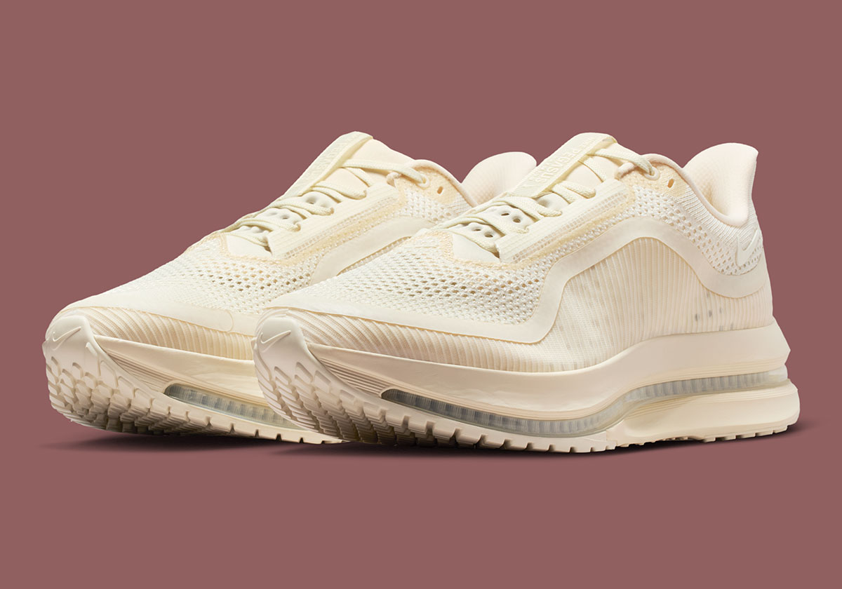 nike-pegasus-premium-natural-mushroom-iq5691-100-5