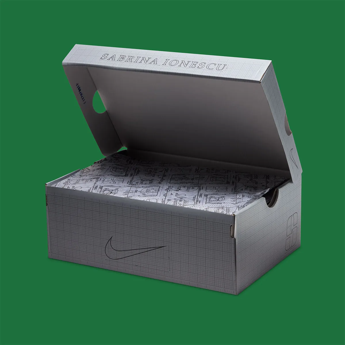 Sabrina Ionescu And Nike To Drop An “Oregon Ducks” Shoe At The Start Of March Madness