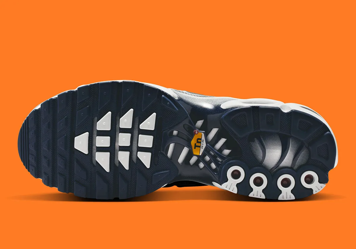 The Nike Air Max Plus  Sports Ring Accessories