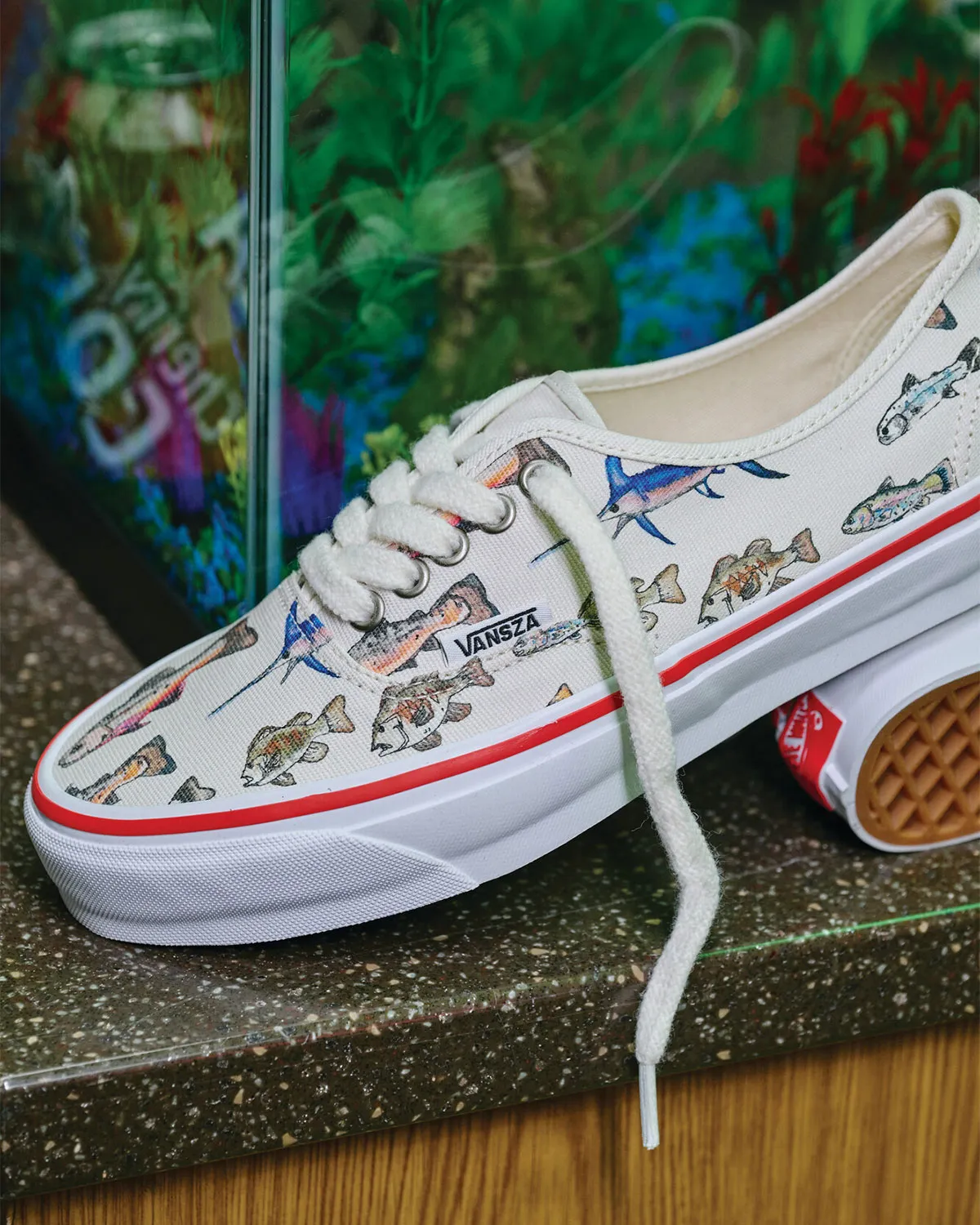 Vans Is All In On The Authentic For Spring 2026