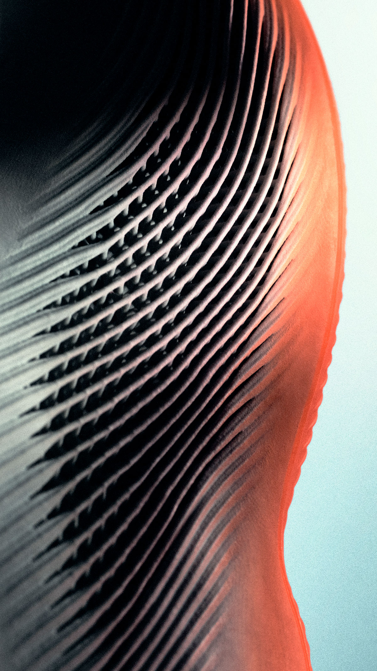 adidas-tenis-de-basquete-3d-impresso-performance-5