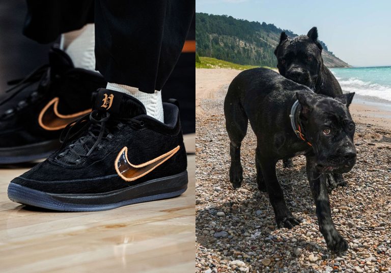 Nike Book 2 Haven and Hector celebra cães de Devin Booker