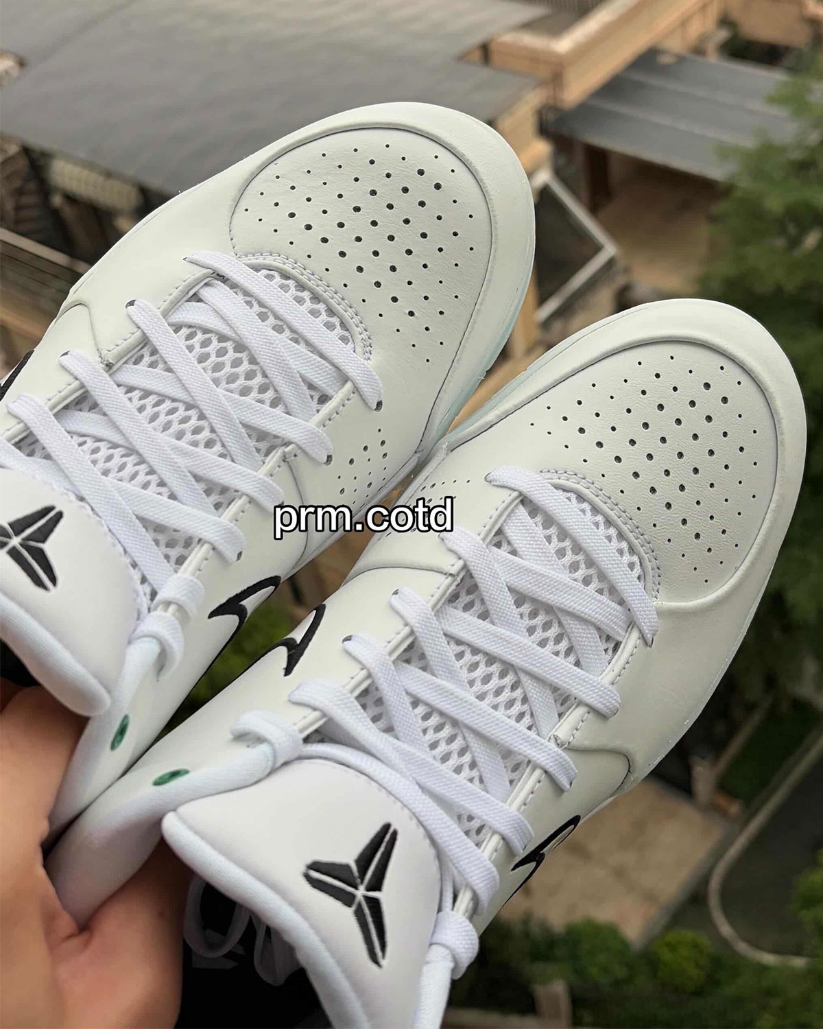 nike-kobe-4-protro-boston-celtics-draft-day-4