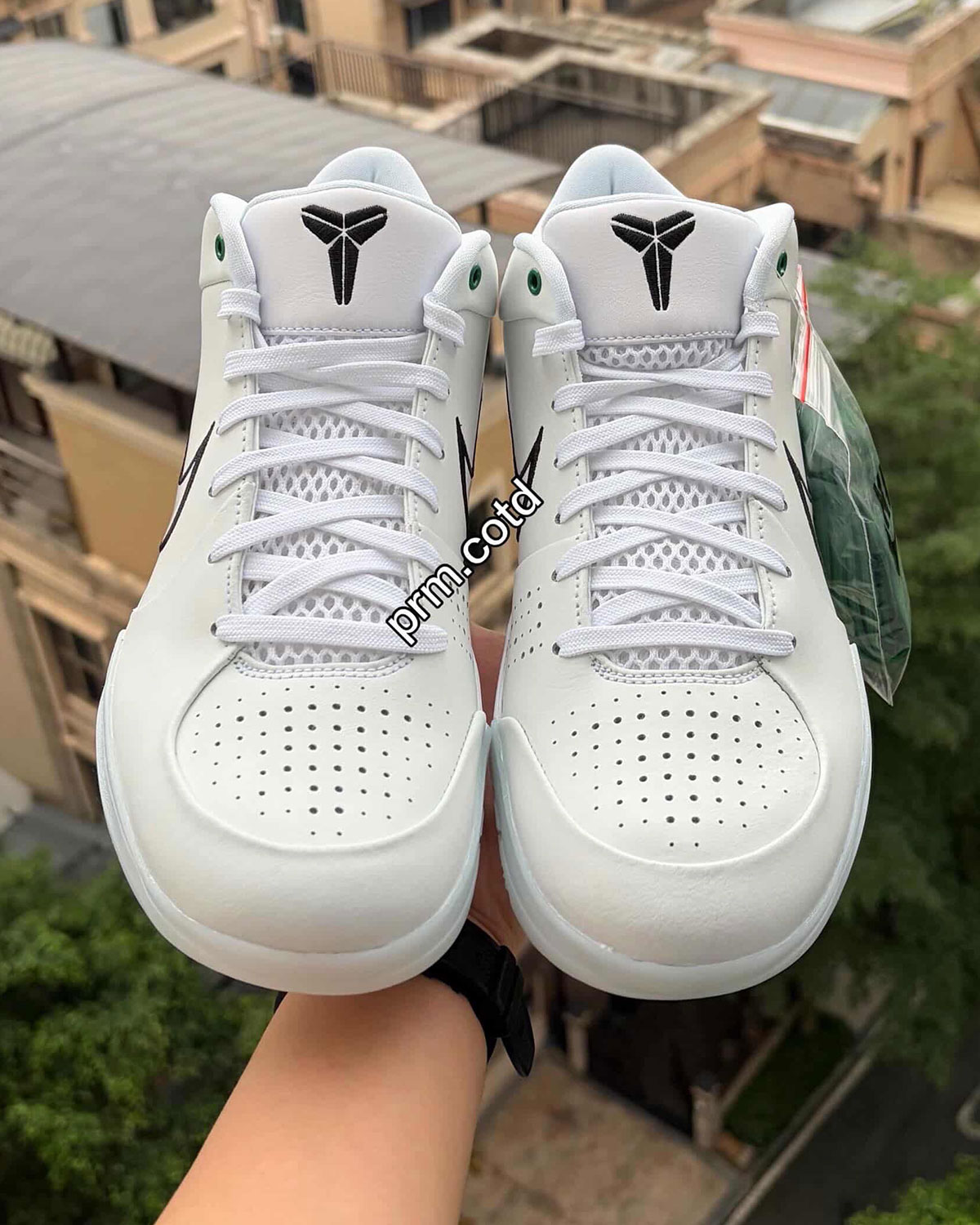 nike-kobe-4-protro-boston-celtics-draft-day-6