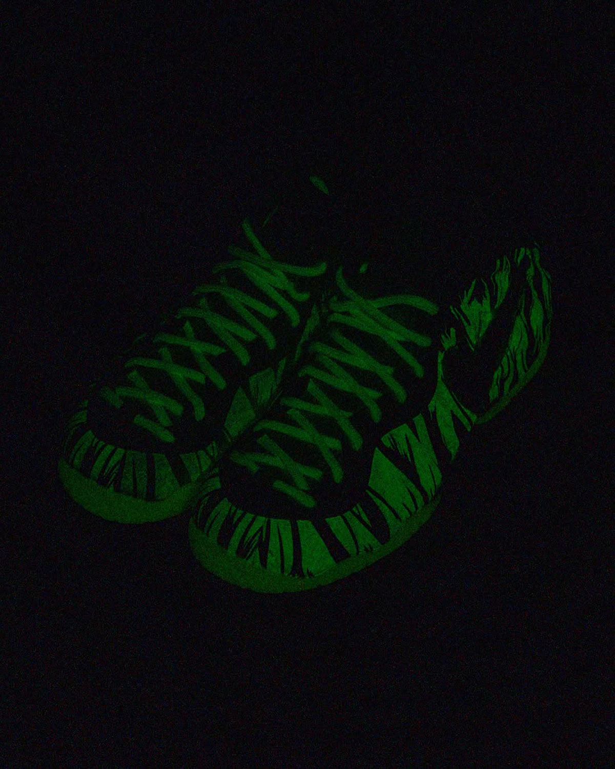nike-oregon-ducks-air-foamposite-pro-mummy-duck-5